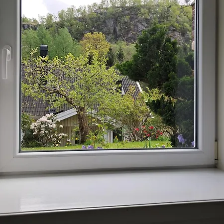 A Peaceful And Quiet Apartment